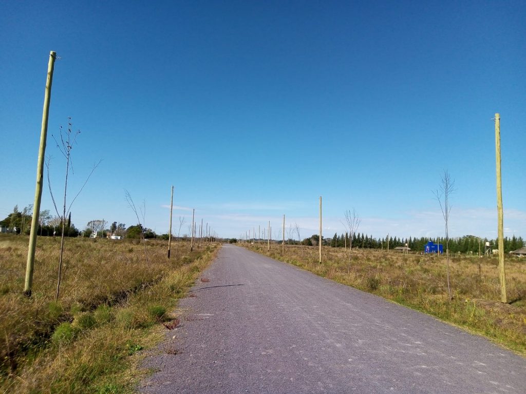 La imagen tiene un atributo ALT vacío; su nombre de archivo es WhatsApp-Image-2022-04-24-at-17.16.43-1024x768.jpeg